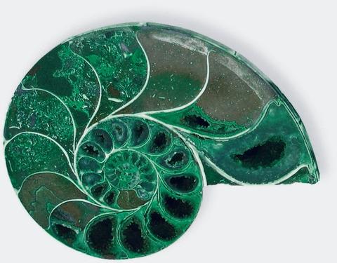 Pisces Full Moon: Dream it, Build it, by Amanda Moreno