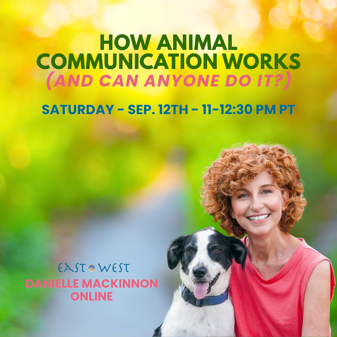 How Animal Communication Works (and Can Anyone Do It?) - Danielle MacKinnon - Saturday - September 12th, 2026 - 11-12:30 PM PT - Online