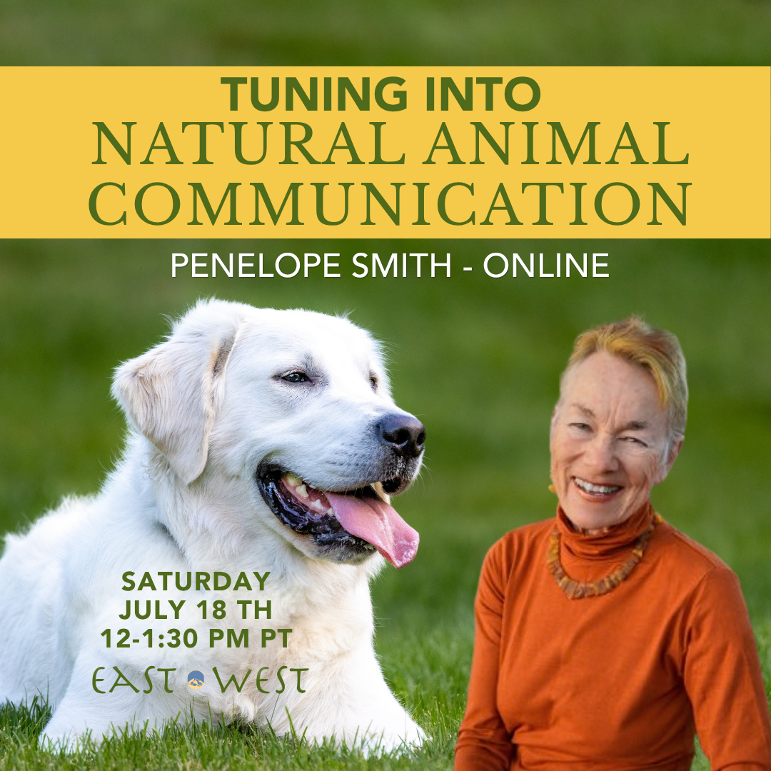 Tuning In to Natural Animal Communication - with Penelope Smith - Online - Saturday, July 18th, 2026 - 12-1:30 PM PT