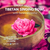Tibetan Singing Bowl Group Healing - with Suren Shrestha - October 25, 2025 - Saturday 4-5:30pm